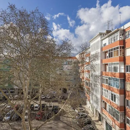 Joao Azevedo Coutinho Lisboa