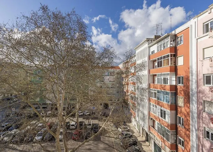 Joao Azevedo Coutinho Lissabon