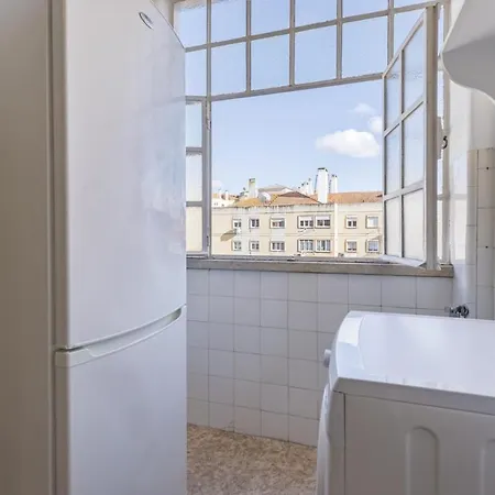 Joao Azevedo Coutinho Daire Lisboa