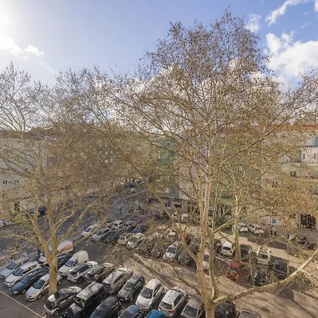 Apartment Joao Azevedo Coutinho